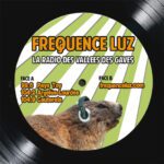 Logo disque FrequenceLuz
