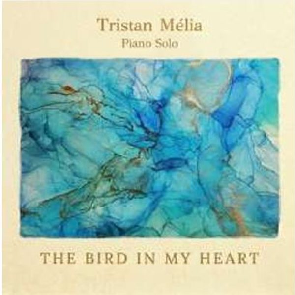 The-Bird-In-My-Heart[1]